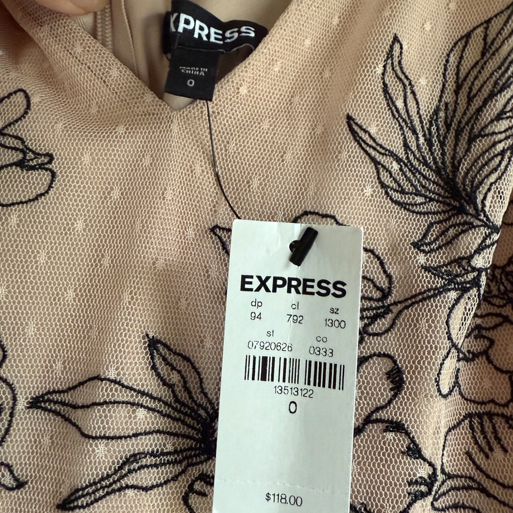 Express Pink Tulle Dress with Black Straps, Embroidered - Picture 10 of 11